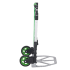 Carrinho de Carga Dobrável 70kg Standers