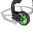 Carrinho de Carga Dobrável 70kg Standers