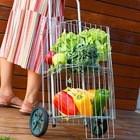 Carrinho De Compras Dobrável Com Rodízio 33x43cm
