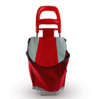 Carrinho De Compras Dobrável Ecológico Leva Tudo Multiuso Fei