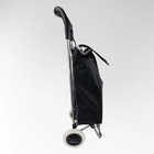 Carrinho De Compras Feira 2 Rodas Dobrável Reforçados 30kg -