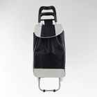 Carrinho De Compras Feira 2 Rodas Dobrável Reforçados 30kg -