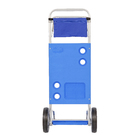 Carrinho de Praia Alumínio 111x49cm