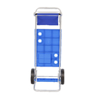 Carrinho de Praia Alumínio 111x49cm