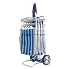 Carrinho de Praia Alumínio 111x49cm