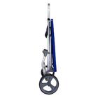 Carrinho De Praia Com Avanço Para Caixa Térmica Zaka