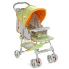 Carrinho Fit Voyage Verde Puppy