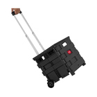 Carrinho Multiuso Dobrável 35kg Keep - Ac353