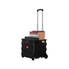 Carrinho Multiuso Dobrável 35kg Keep - Ac353