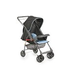 Carrinho Sorano Galzerano