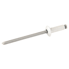 Cartela 100 Rebites 3,2x10mm