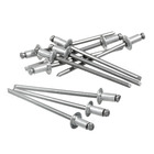 Cartela 100 Rebites 3,2x6mm