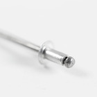 Cartela 100 Rebites 3,2x6mm