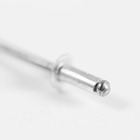 Cartela 100 Rebites 3,2x8mm