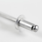 Cartela 100 Rebites 4,8x10mm