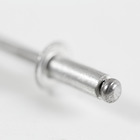 Cartela 100 Rebites 4,8x12mm