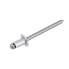 Cartela 100 Rebites 4,8x8mm