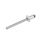 Cartela 100 Rebites 4,8x8mm