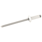 Cartela 100 Rebites 4x10mm