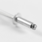 Cartela 100 Rebites 4x12mm