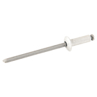 Cartela 100 Rebites 4x12mm