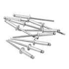 Cartela 100 Rebites 4x16mm