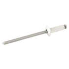 Cartela 100 Rebites 4x16mm