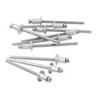 Cartela 100 Rebites 4x6mm