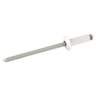 Cartela 100 Rebites 4x6mm