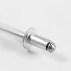 Cartela 100 Rebites 4x8mm