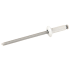 Cartela 100 Rebites 4x8mm