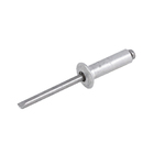 Cartela 100 Rebites 6,2x22mm