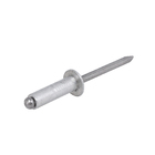 Cartela 100 Rebites 6,2x22mm