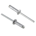 Cartela 15 Rebites 4x15mm