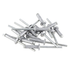 Cartela 15 Rebites 4x15mm