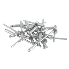 Cartela 20 Rebites 3,2x12mm