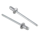 Cartela 20 Rebites 3,2x6mm