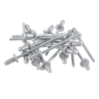 Cartela 20 Rebites 3,2x6mm