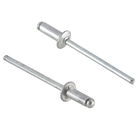 Cartela 20 Rebites 3,2x8mm