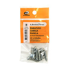 Cartela com 10 Parafusos 4,8x25mm Zincado Cabeça: Panela Fenda: Simples