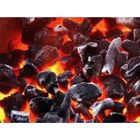 Carvão 3 Kg Vegetal Churrasco Eucalipto 100% Ecológico Embala