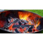 Carvão 3 Kg Vegetal Churrasco Eucalipto 100% Ecológico Embala