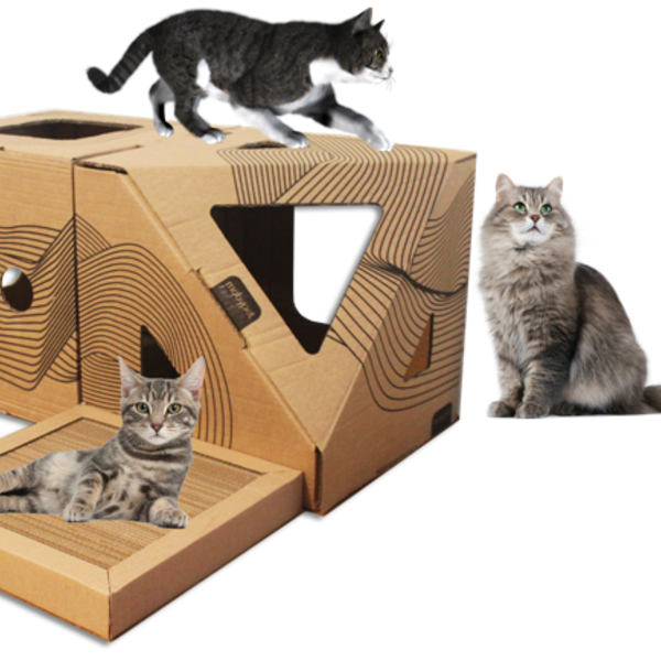 Casa Com Arranhador Para Gatos Kit 1 Mobypet