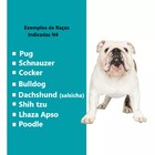 Casa N4 Dog Home Pet Shop Veterinário Acessórios Azul