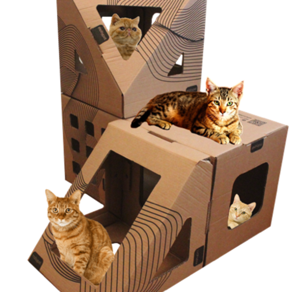 Casa Toca Para O Gato Brincar Retângulo+poli+triângulo