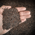 Casca De Arroz Carbonizada Premium Para Substrato 100 Litros