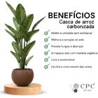 Casca de arroz carbonizada premium para substrato CPC Garden