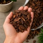 Casca de Pinus Marrom 1,2kg Garden