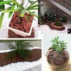 Casca De Pinus Média Polida 5 Litros Decoração De Jardim Vaso