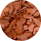 Casca de Pinus Polida 100L SJ do Brasil